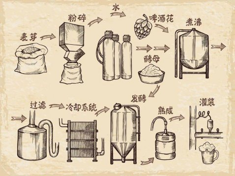 關(guān)于啤酒的知識，看這一文就夠了